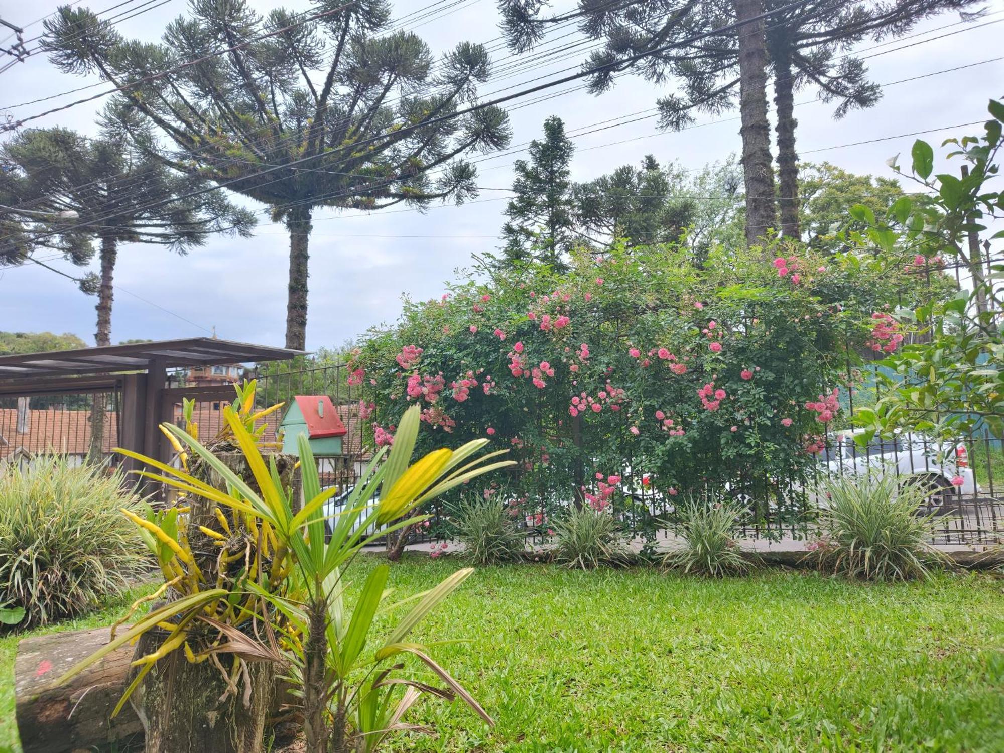 El Refugio 700 Apartment Gramado Ngoại thất bức ảnh